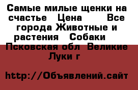 Самые милые щенки на счастье › Цена ­ 1 - Все города Животные и растения » Собаки   . Псковская обл.,Великие Луки г.